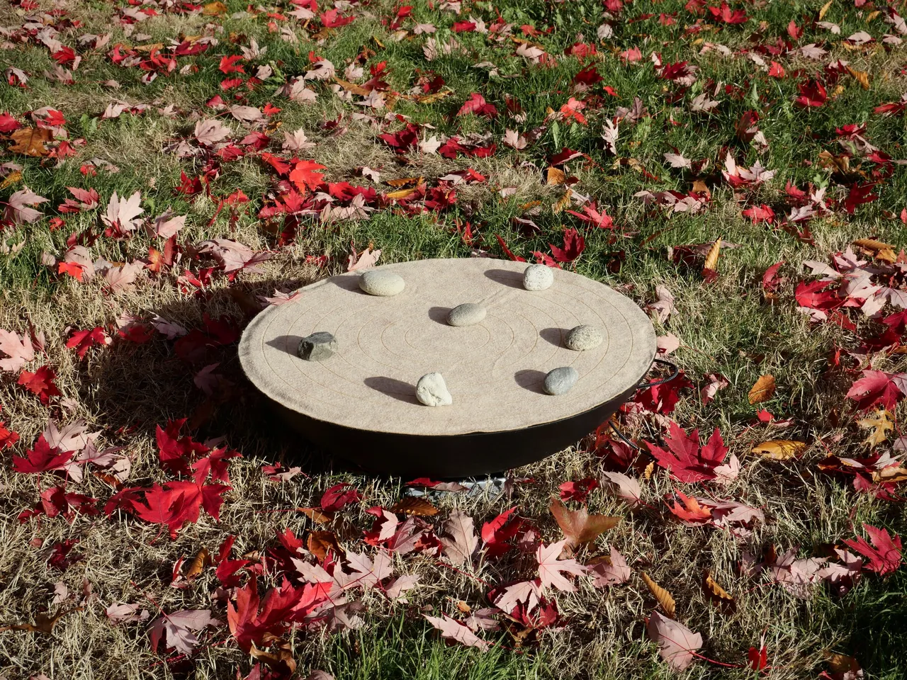 SoundMat on a lawn strewn with red maple leaves, seven stones on its felt surface, in low afternoon sun